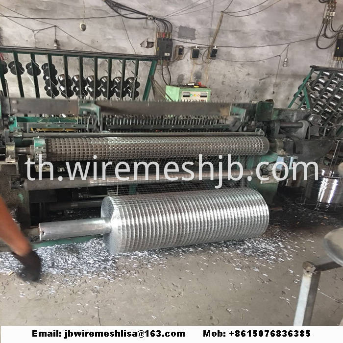 Welded Wire Mesh Galvanized Welded Wire Mesh Roll